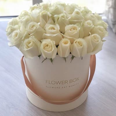 flowerbox_371