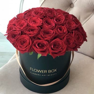 flowerbox_372